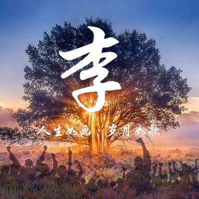 一刀流gm变态版下载