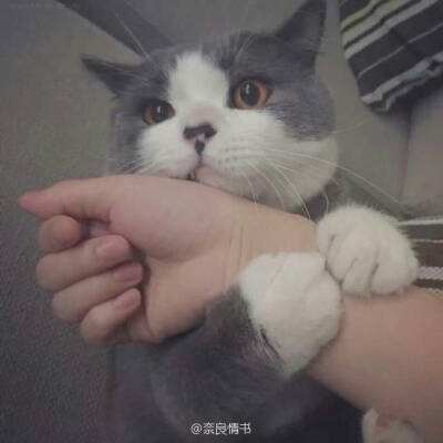 无忧传奇手机版官方下载